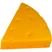 cheesehead